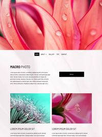 S&egrave;ptima Generaci&oacute;n (9)